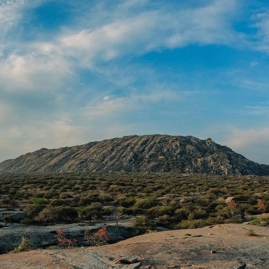 The granite landscape of Jawai