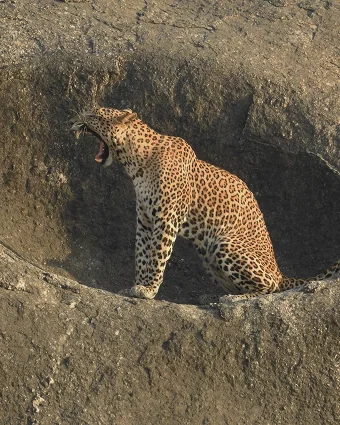 In the shade of the rock